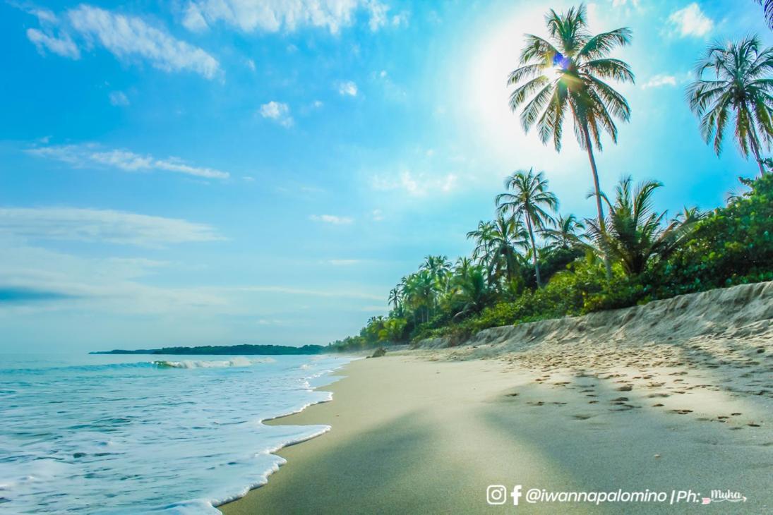 I Wanna Palomino Hotel Ngoại thất bức ảnh